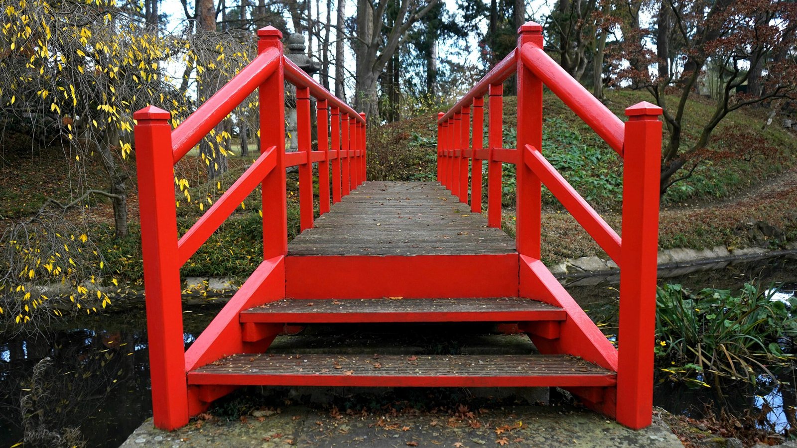 Person Showing Red Wooden Bridge